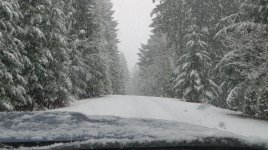 Snow Runner.jpg