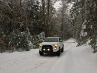 IMG_3348.jpg