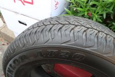 IMG_0963.jpg