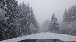 Snow3.jpg