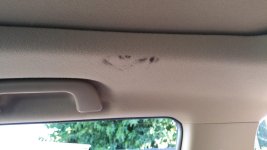 20170602_185119.jpg