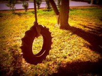 Tire-Swing-3.jpg