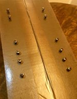 Painted Door Trim Screws.jpg