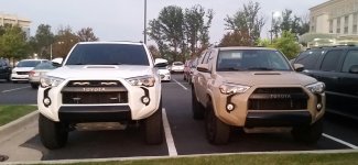 trd.jpg