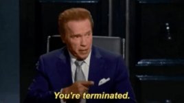 Arnold-Schwarzenegger-678x381.jpg