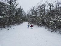 20171209_113142.jpg