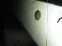 20171115_053558.jpg