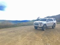 IMG_3668.jpg
