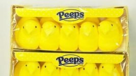 8283088-peeps-easter-marsmallow-candy-candies-27586403.jpg