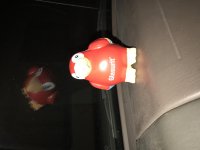 IMG_0062.jpg