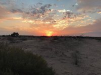 IMG_0498.jpg