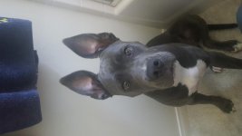 20170630_095926.jpg