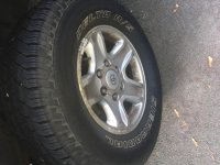 IMG_7500.jpg IMG_7500.jpg