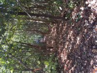 20171022_123747.jpg