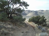 35222 view down.jpg