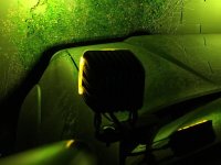 IMG_5211.jpg