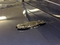 painted_antenna_installed.jpg