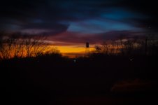 DSC_0081.jpg