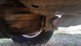 20180131_121237.jpg