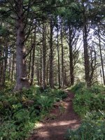 IMG_20170923_115505~2.jpg