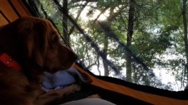 20171008_075742.jpg