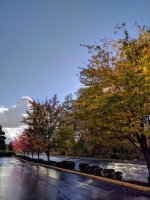 IMG_20171101_152437~2.jpg