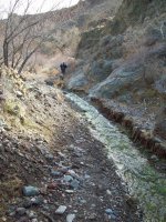 35321 the trail.jpg