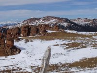 Bison-from-McCurdy.jpg Bison-from-McCurdy.jpg