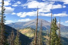 IMG_1505.jpg