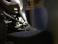IMG_3289.jpg