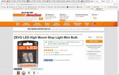 Bulbs.jpg