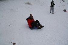 _MG_2487.jpg