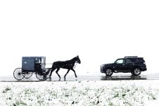 IMG_0369.JPG