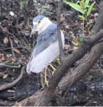 F1749060-ABBC-4C47-BA03-6C8EBE8629A1.jpeg