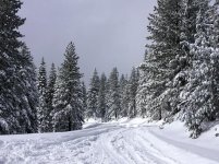 IMG_0077 (ed1).jpg