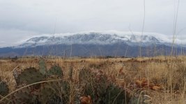 20180216_124401.jpg