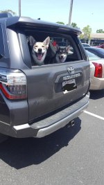 20170529_235102.jpg