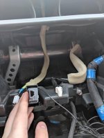 MVIMG_20180328_125723.jpg