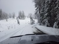 20180303_092532.jpg