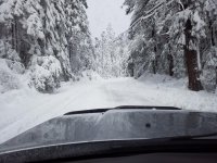 20180303_092514.jpg