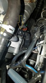 20180203_132519.jpg
