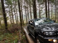 IMG_20180329_111157258_HDR.jpg