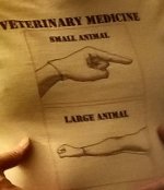 thumbnail (9).jpg