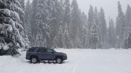 Snow.jpg