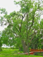 IMG_2043.jpg