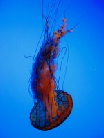 IMG_2981.jpeg