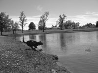 IMG_3482.jpeg