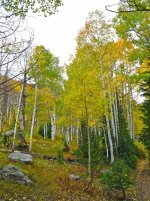 IMG_2282.jpg