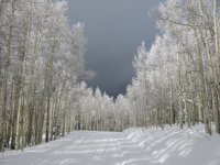 IMG_2422.jpeg
