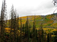 IMG_2279.jpg